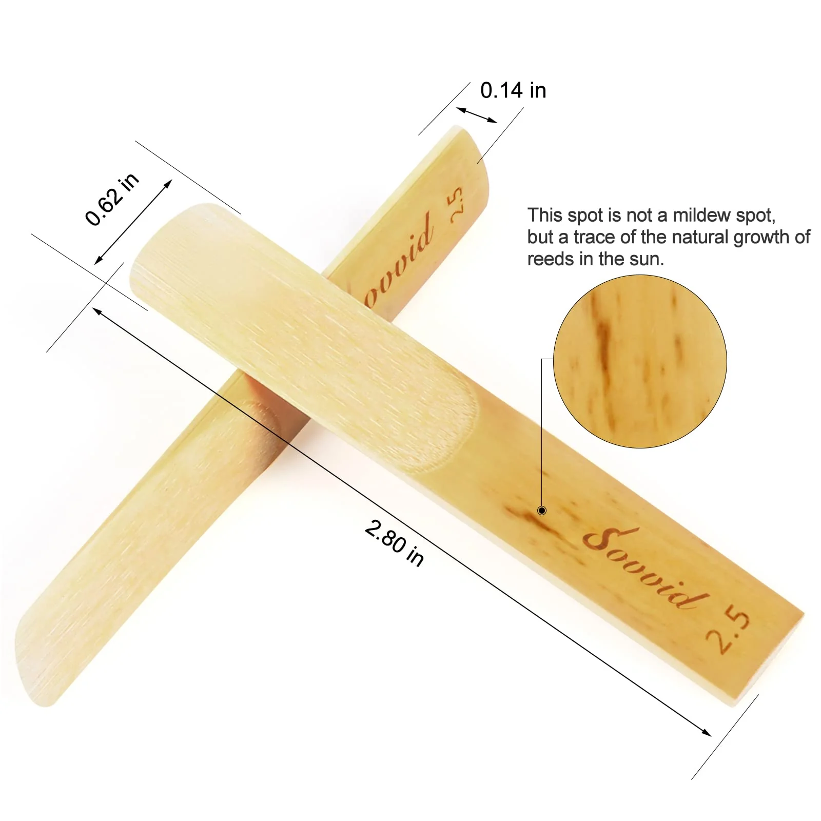 10 Pack Professional Alto Saxophone Reeds with Plastic Box, Strength 2.5 Alto Sax Reeds, Laser Engraved Marking & Thinner Reed Tip for Easy of Play, Traditional Reeds for Saxophone Alto Light Brown - Image 2