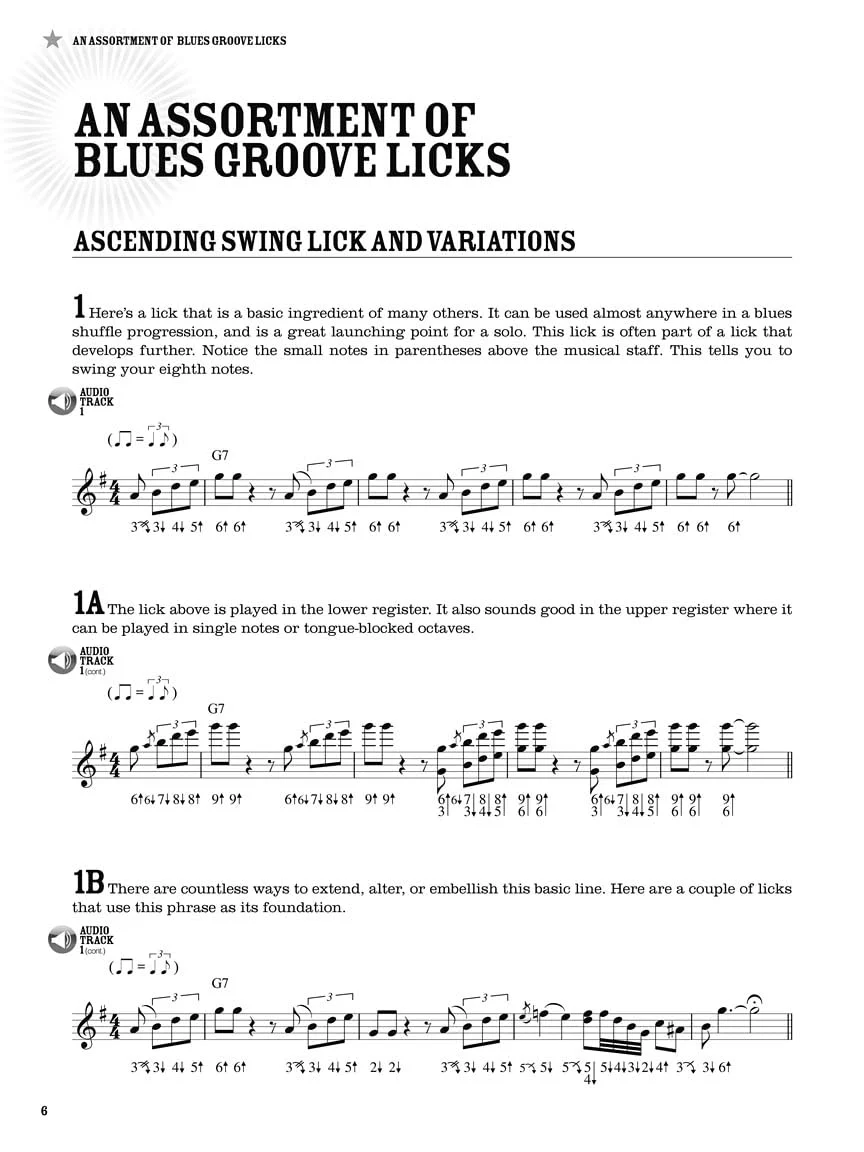 100 Authentic Blues Harmonica Licks Steve Cohen | Harmonica Instructional Book with Online Audio | Learn Blues Harmonica Techniques, Solos, and Riffs | Beginner to Advanced Sheet Music Songbook - Image 4