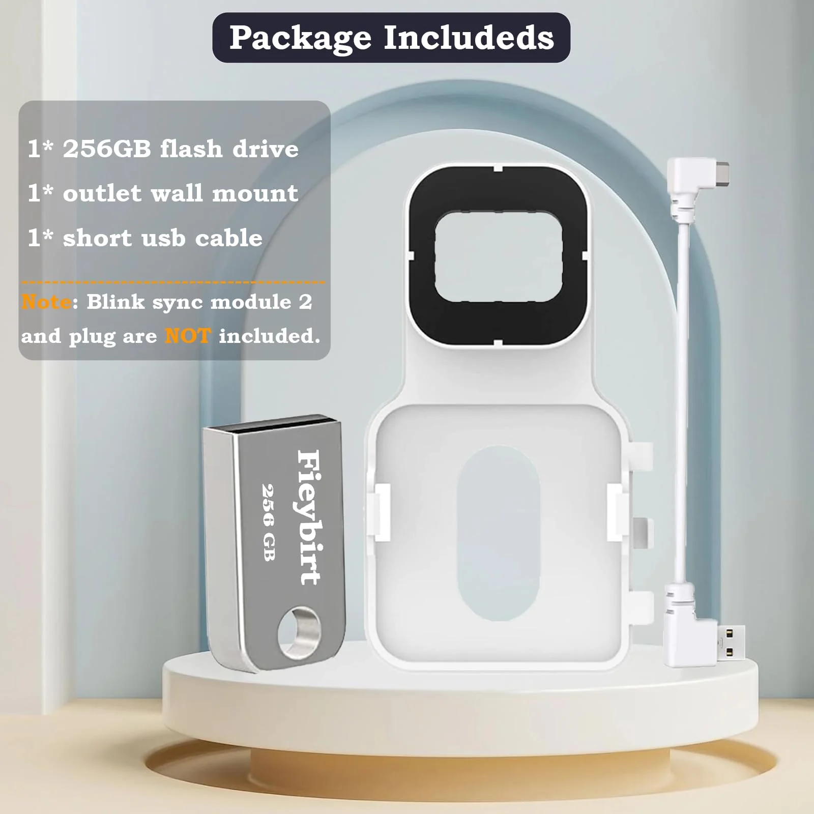 256GB USB Flash Drive & Outlet Mount for Blink Sync Module 2, Space Saving and Easy Move Mount Bracket Holder for Blink Outdoor Indoor Security System (Blink Sync Module 2 is NOT Included) - Image 7