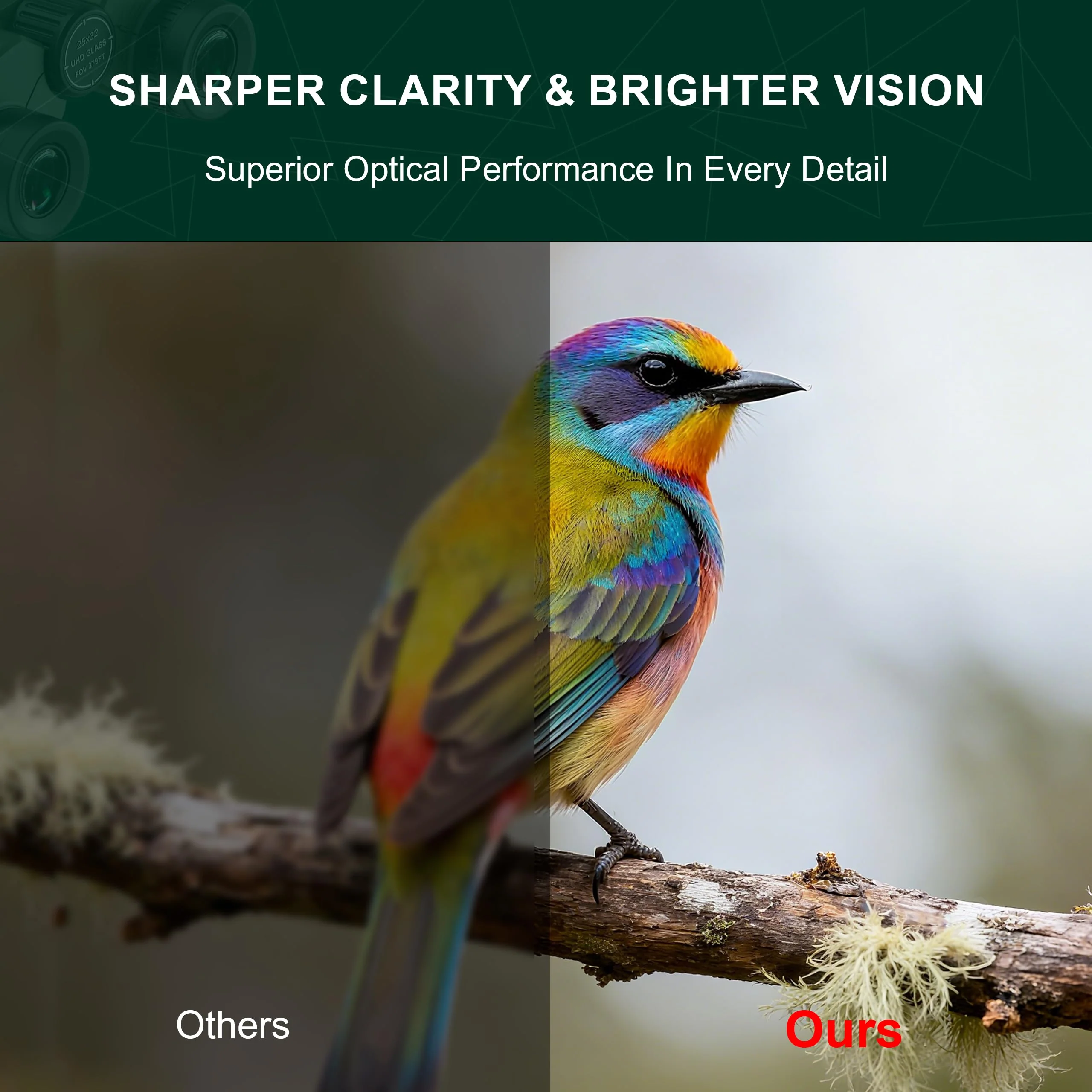 25x32 UHD Compact Binoculars for Adults High Powered - Large View Binoculars with Clear Low Light Vision - Super Bright Lightweight & Waterproof Binocular for Bird Watching Travel Hunting 25x32 - Image 3