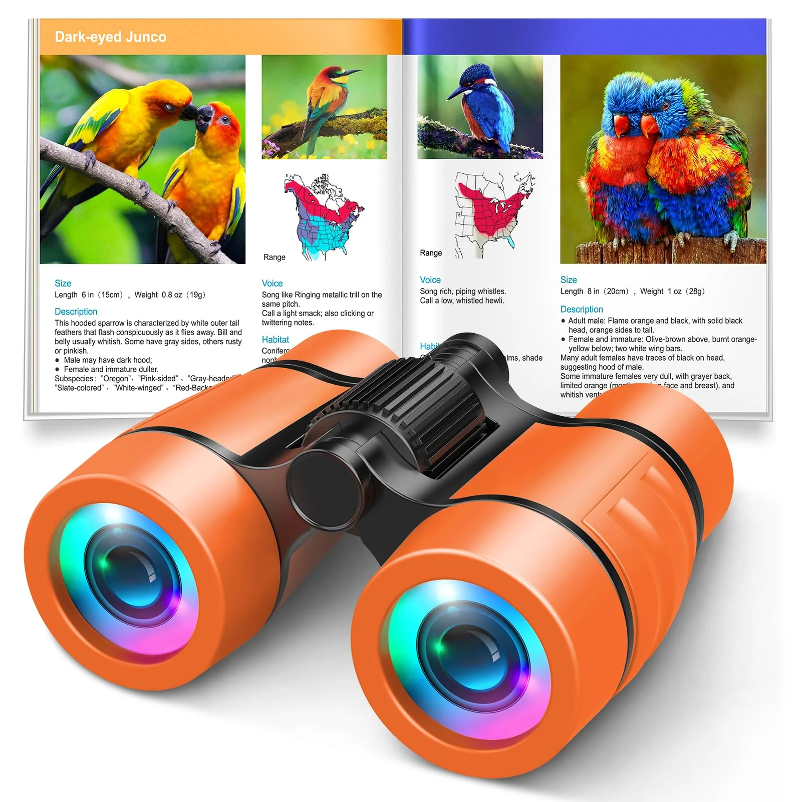3-8 Year Old Boy Girl Toys: LET'S GO! Shockproof Binoculars for Kids Bird Watching 3 4 5 6 7 Year Old Boys Girls Outdoor Travel Toy for Kid Ages 4-7 Toddler Toy Binoculars Orange