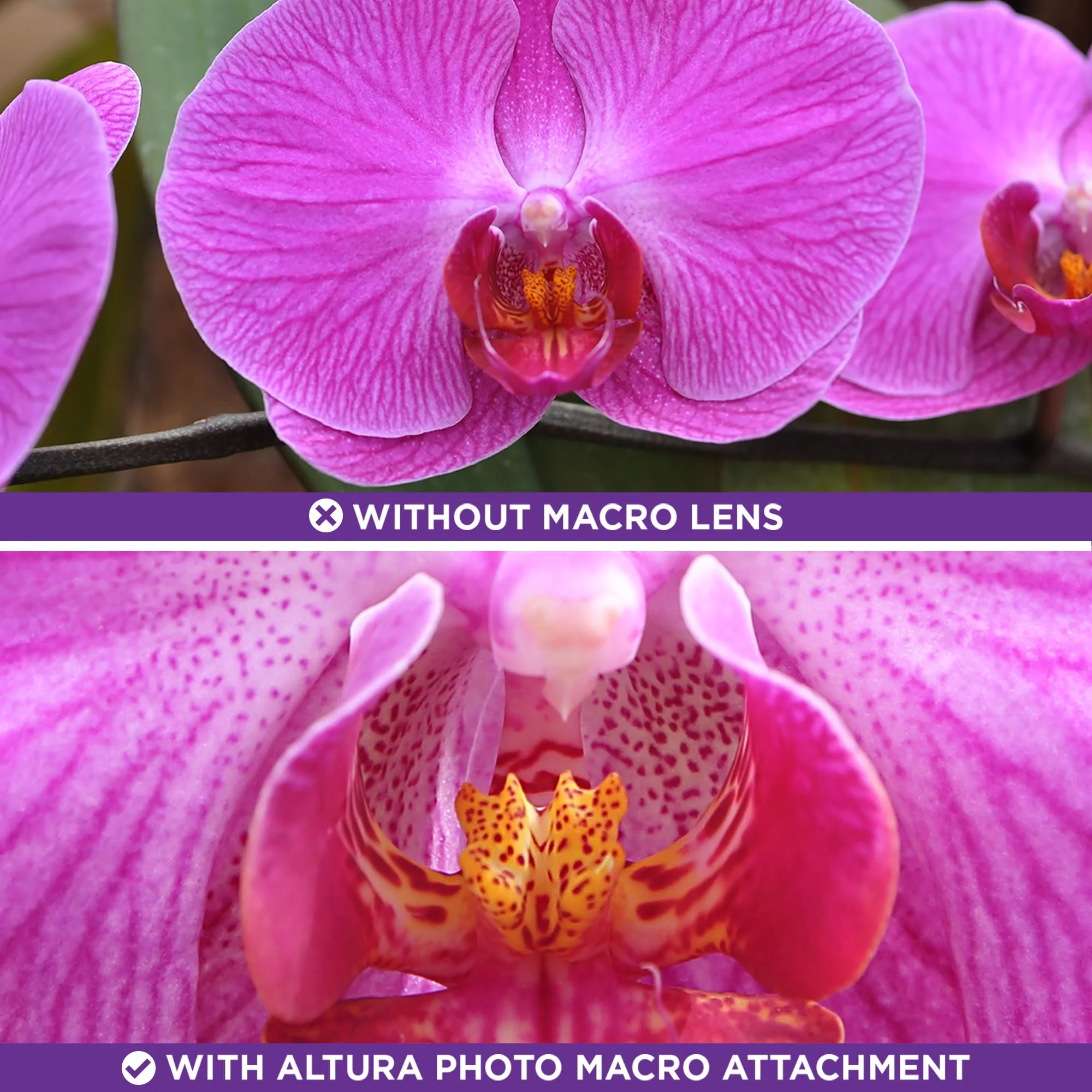 58MM 0.43x Altura Photo Professional HD Wide Angle Lens (w/Macro Portion) for Canon EOS 70D 77D 80D 90D Rebel T8i T7 T7i T6i T6s T6 SL2 SL3 DSLR Cameras 58MM - Image 7