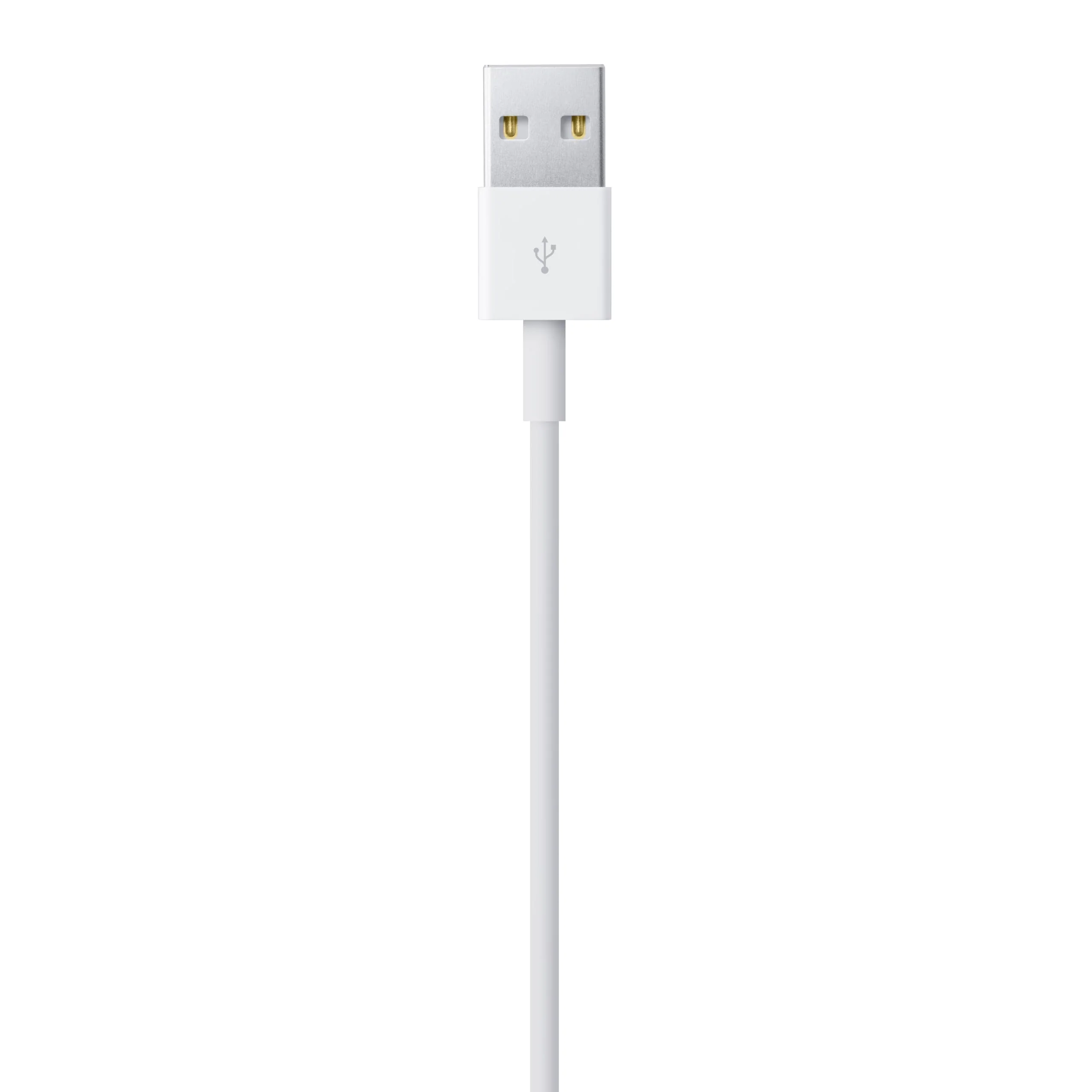 Apple Lightning to USB Cable (1 m)  1m - Image 4