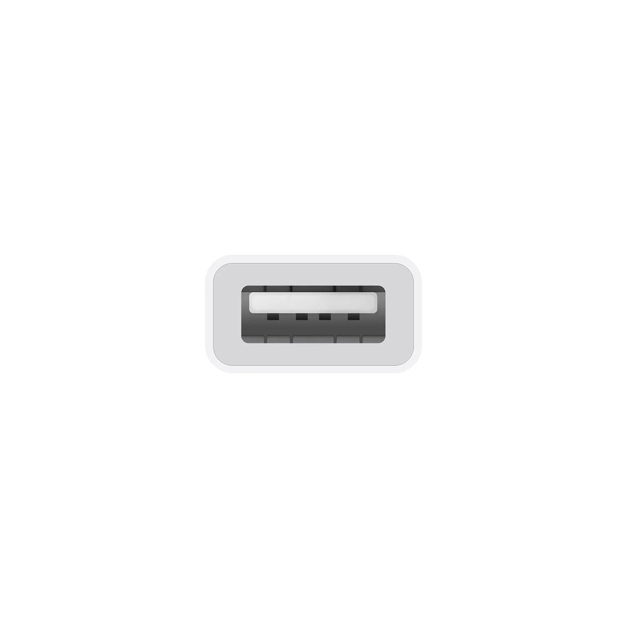 Apple USB-C to USB Adapter - Image 3