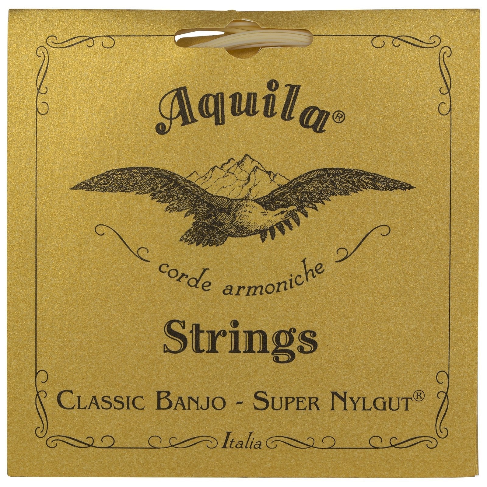 Aquila New Nylgut AQ-1B Banjo Medium Tension DBGDG-Set of 5 (4th Red Series String)