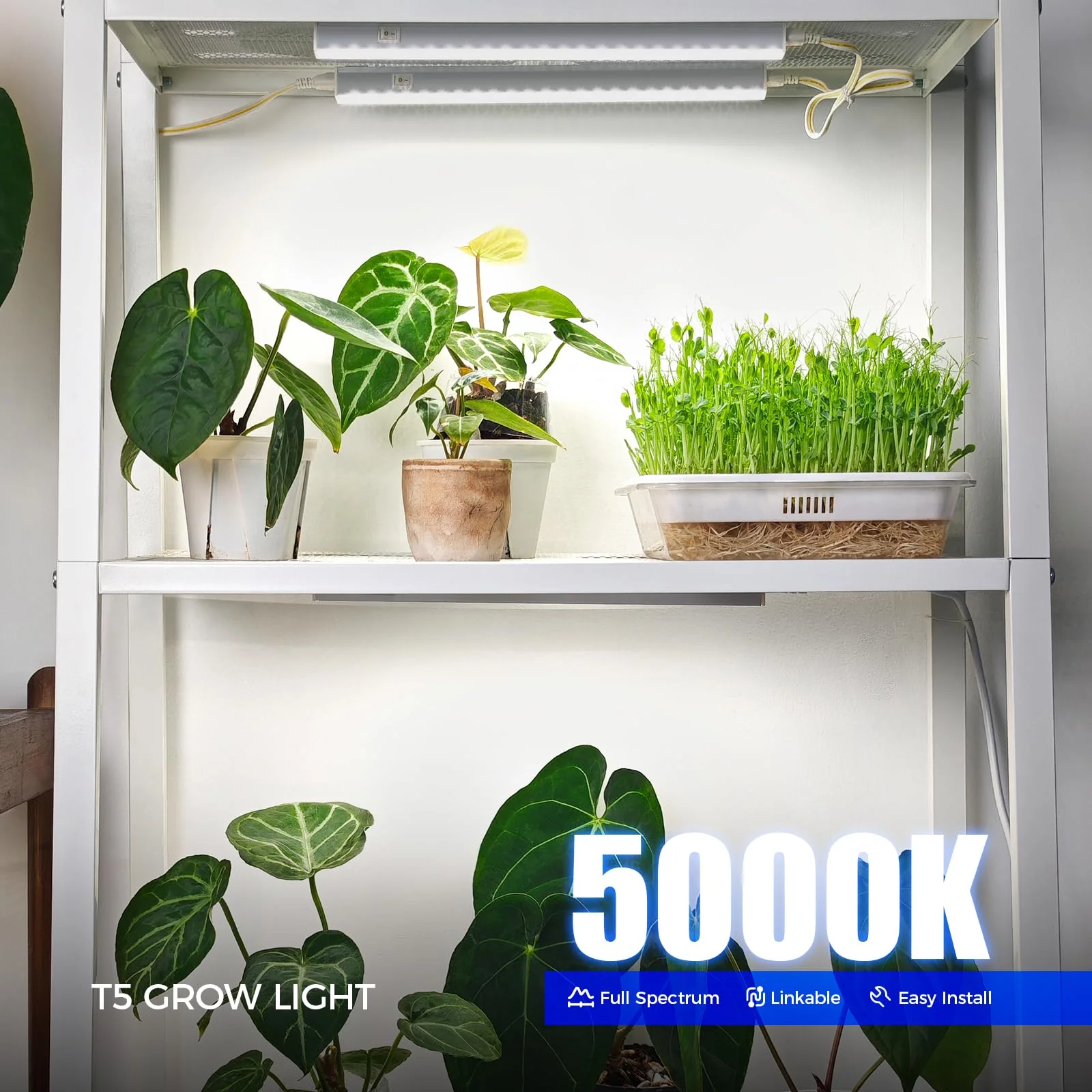 Barrina T5 Grow Lights for Indoor Plants, 5000K Full Spectrum, 1FT LED Growing Lamp, Plant Light Strip, for Seed Starting, Vegetables, Plug and Play, 4-Pack White 1FT-White Cover - Image 2