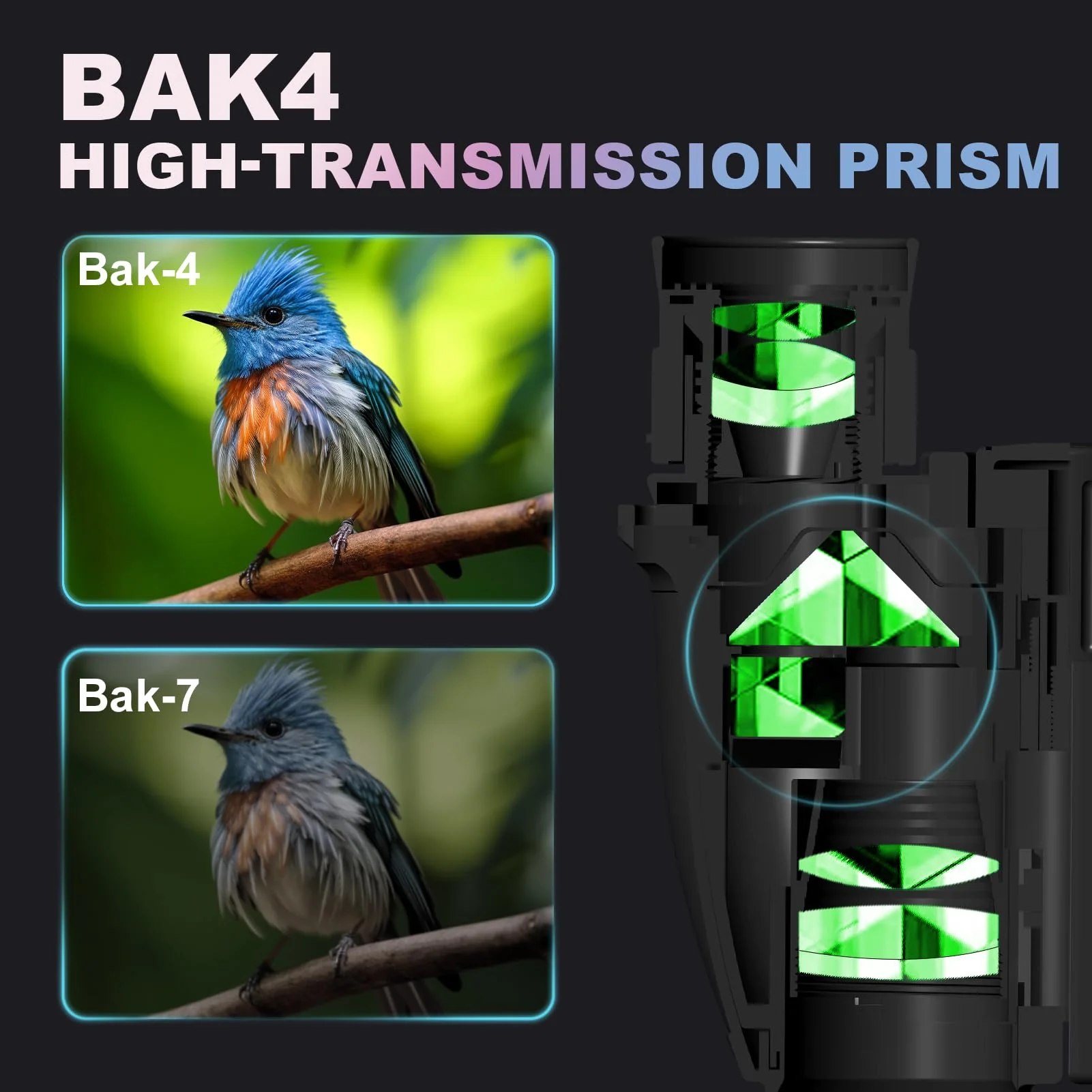 BIJIA 12 x 25 Compact Binoculars for Adults and Kids, Easy Focus Small Binoculars with BAK4 Prism, Large Eyepiece, Waterproof, Low Light Vision for Travel, Hiking, Bird Watching, Hunting, Concerts - Image 3