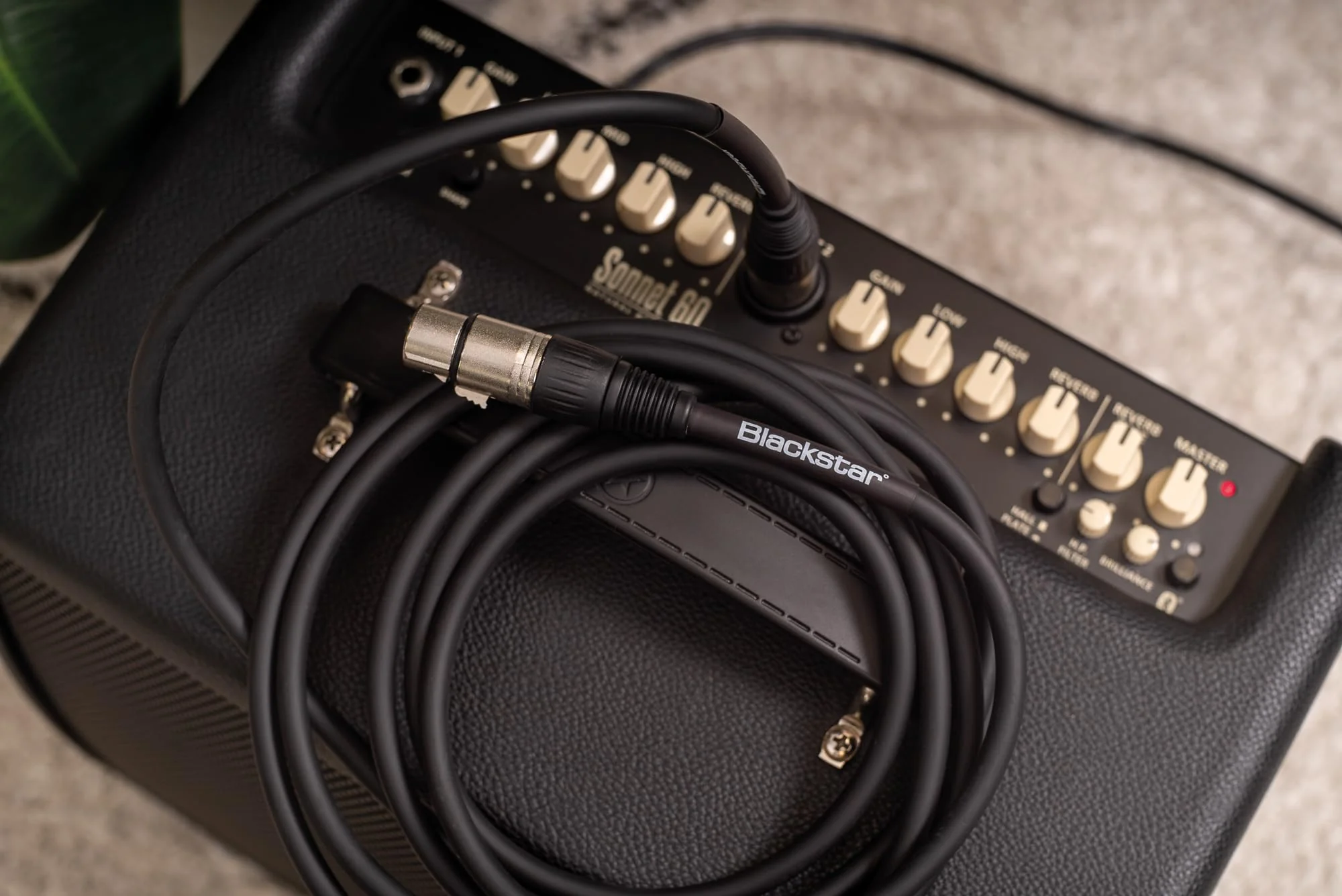 Blackstar Microphone Cable, XLR (BSCABLEXLR10FTFM) 10 ft - Image 4
