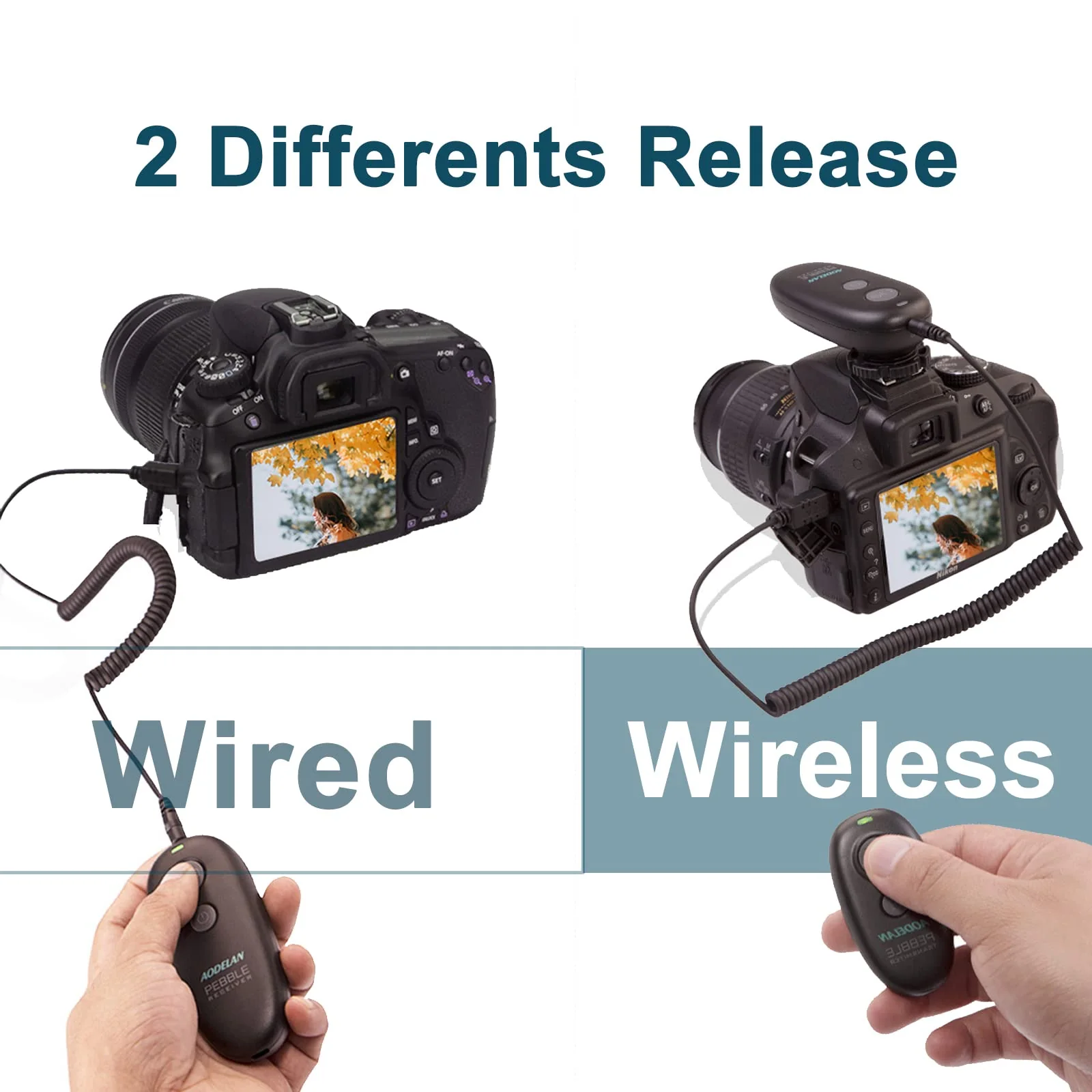 Camera Wireless Remote Shutter Release, Camera Remote Control for Nikon D5000 D5100 D5200 D5300 D5500 D90 D7000 D7100 D7200 D800 D810 D850 D700 D500 D300 - Image 2