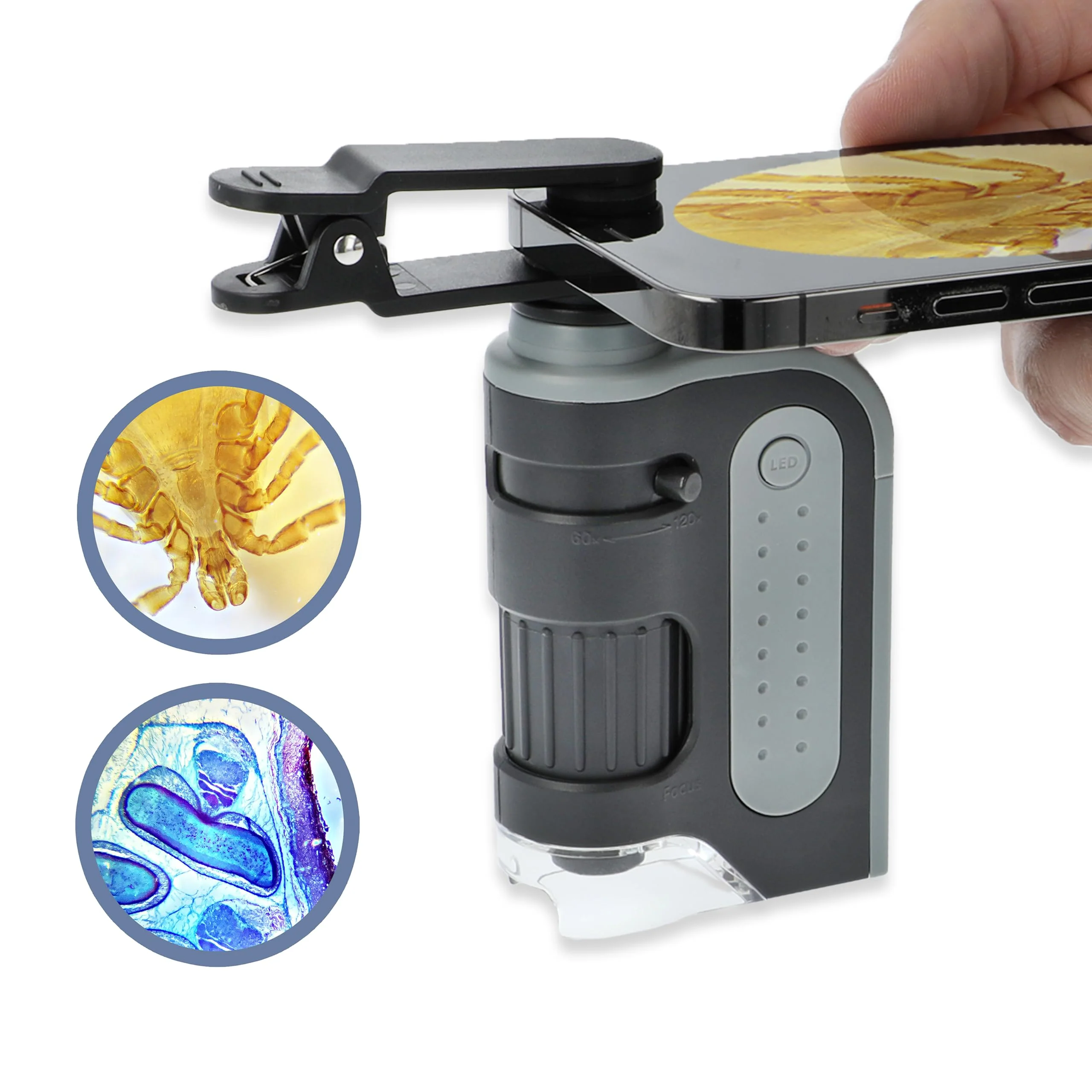 Carson MicroBrite Microscope Kit, 60x-120x LED Pocket Microscope for Adults or STEM Education, Pro Includes Adapter with CarsonCam Phone App Converts into Powerful Handheld Digital Microscope (MM-350) 1 MicroBrite + Smartphone Clip (MM-350)