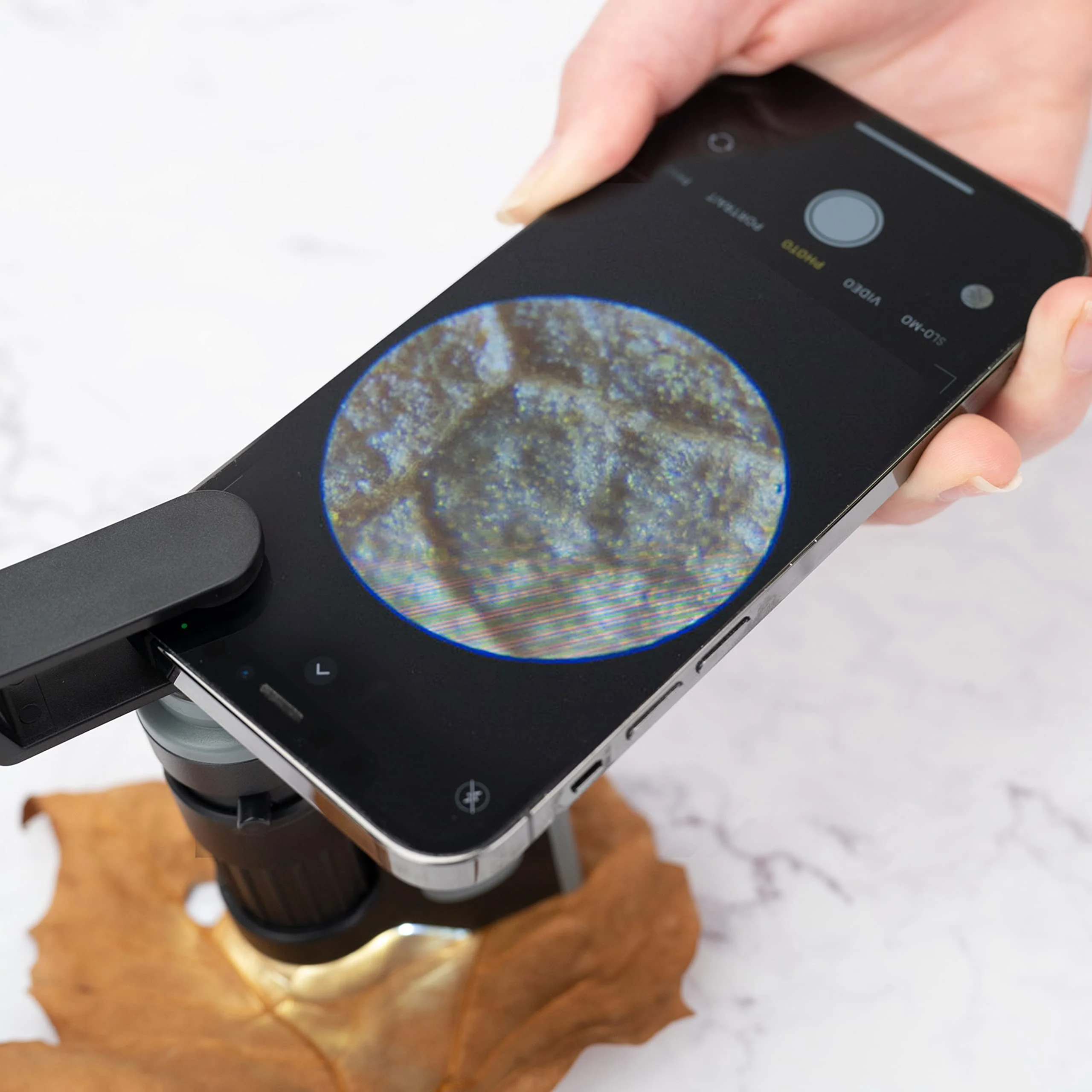 Carson MicroBrite Microscope Kit, 60x-120x LED Pocket Microscope for Adults or STEM Education, Pro Includes Adapter with CarsonCam Phone App Converts into Powerful Handheld Digital Microscope (MM-350) 1 MicroBrite + Smartphone Clip (MM-350) - Image 6