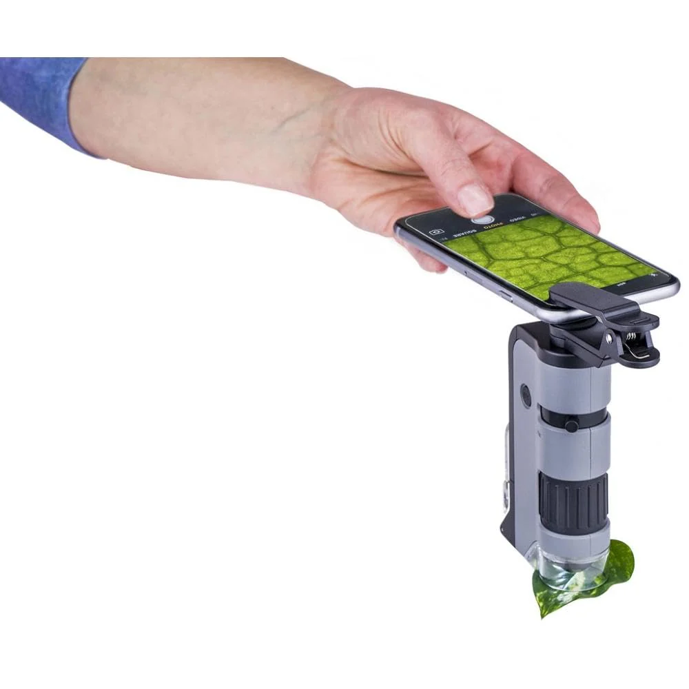 Carson MicroFlip 100x-250x, LED UV Pocket Microscope with Smartphone Clip, STEM Education (MP-250) Single Pack - Image 9