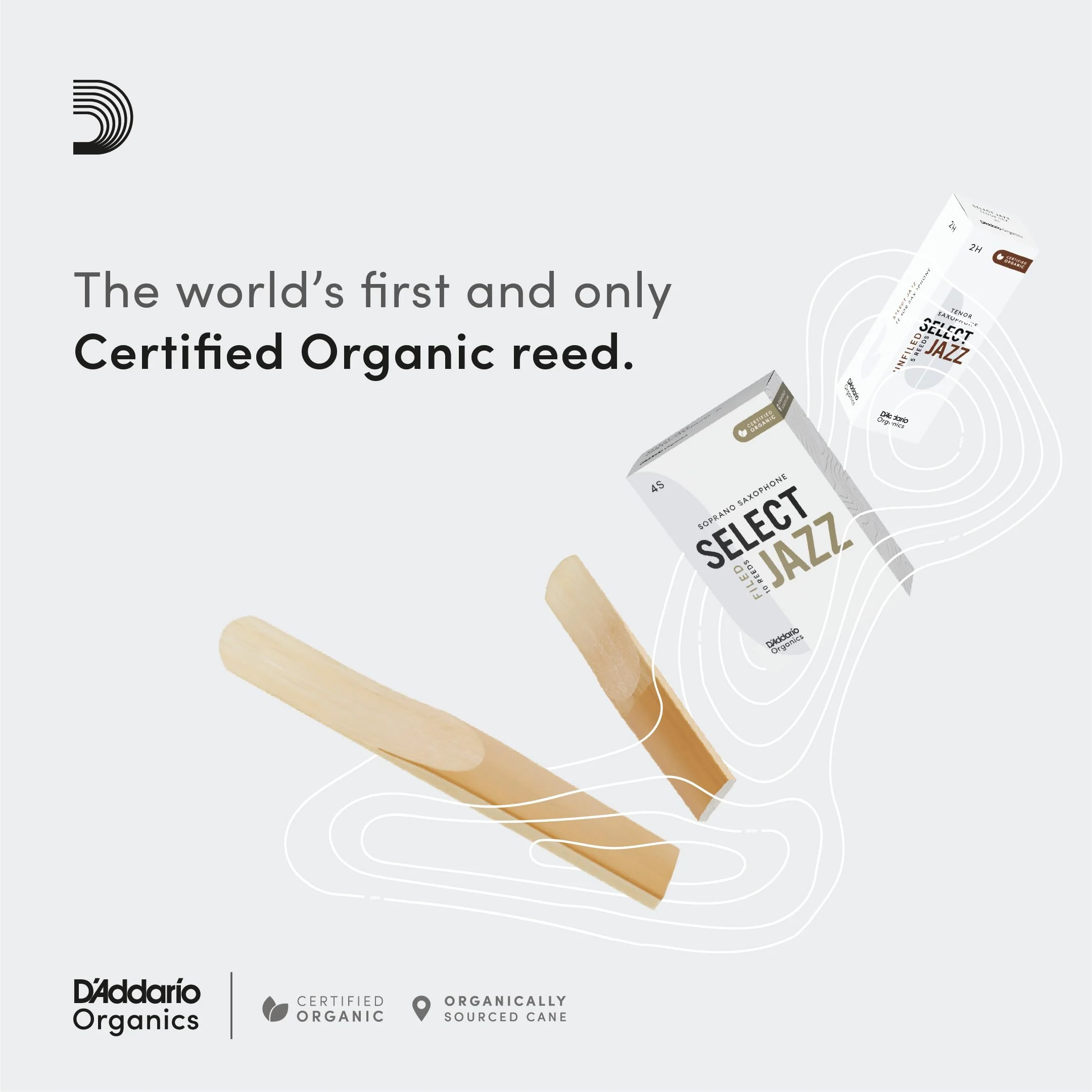 D’Addario Woodwinds - Organic Select Jazz Soprano Saxophone Reeds - Soprano Sax Reeds - Individually Sealed - Filed, Soft, Strength 3, 3-Pack - Image 3