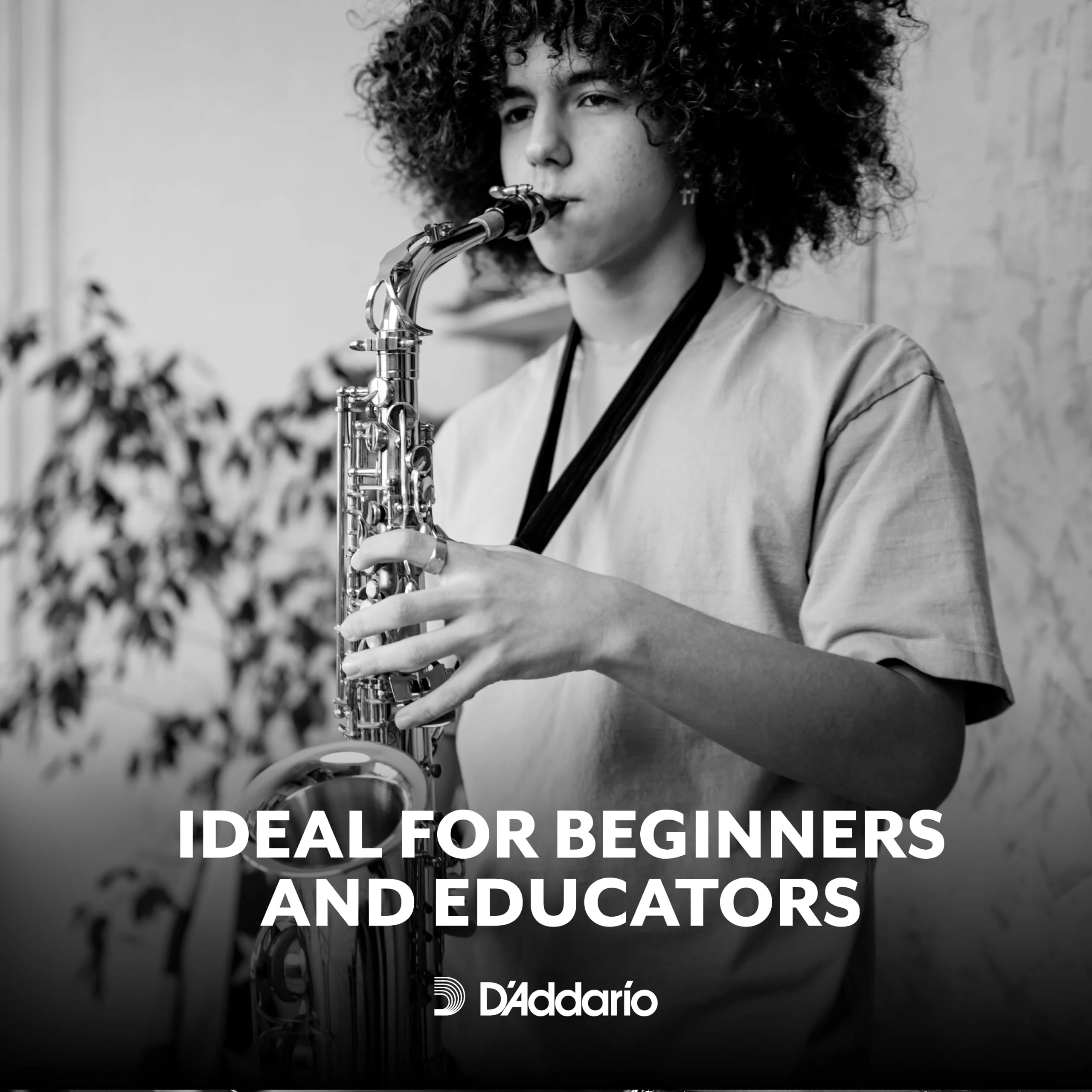 D’Addario Woodwinds - Rico Soprano Sax Reeds - Soprano Saxophone Reeds - Soprano Reeds Crafted for Beginners, Students, Educators - Strength 2.5, 3-Pack - Image 2