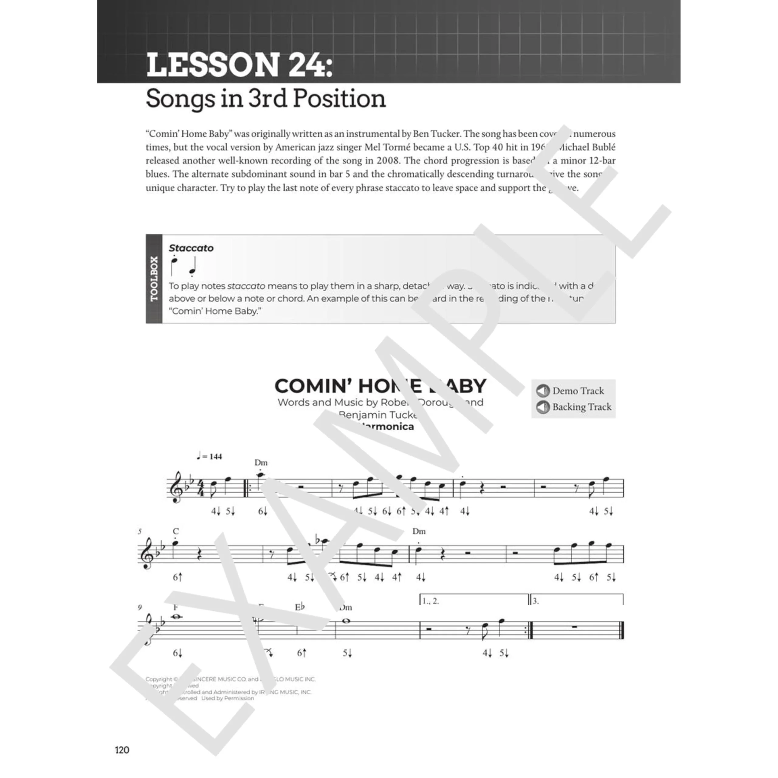 Do-It-Yourself Harmonica: The Best Step-by-Step Guide to Start Playing - Book with Online Audio and Instructional Videos - Image 8
