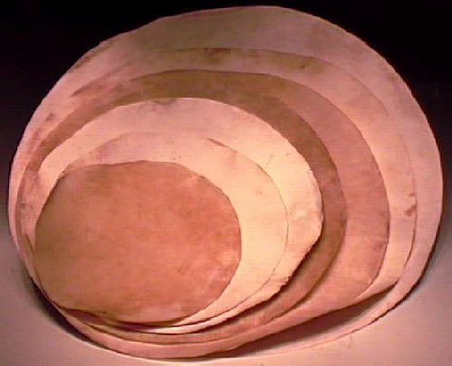 Doumbek Goat Skin Drum Head, Goatskin 16 Inch Round From Pakistan - Image 2
