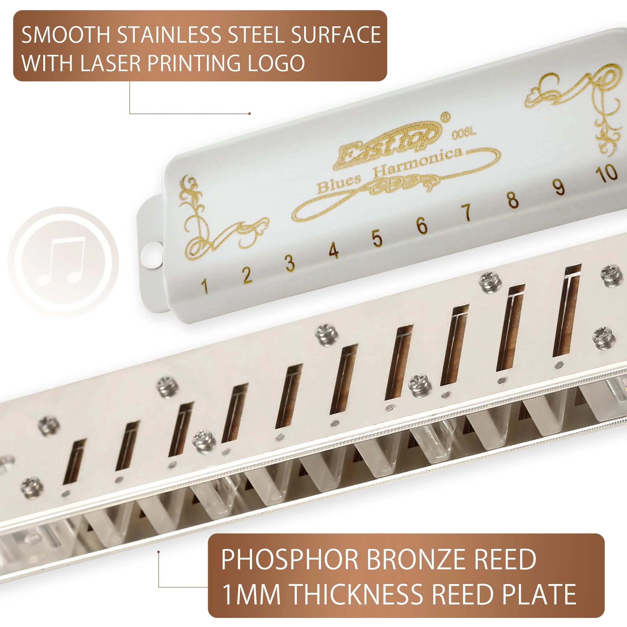 East top 10 Hole 20 Tone Diatonic Blues Harmonica, Key of Eb, White, Professional, Brass & Acrylic - Image 3