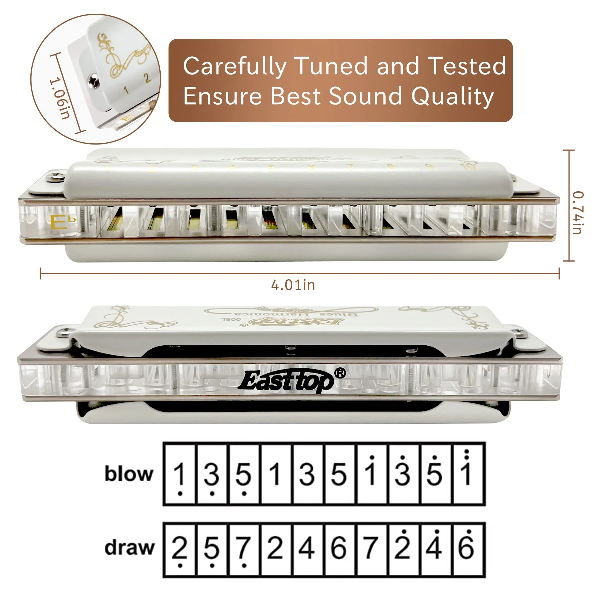 East top 10 Hole 20 Tone Diatonic Blues Harmonica, Key of Eb, White, Professional, Brass & Acrylic - Image 4