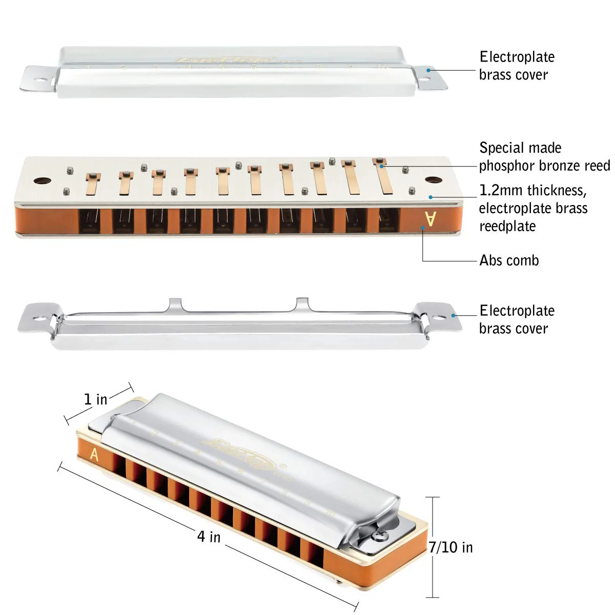 East top 10 Holes Professional Diatonic Blues Harmonica Key of A with Silver Cover, Probgrade Harmonicas For Adults, Professional Player and Students - Image 3
