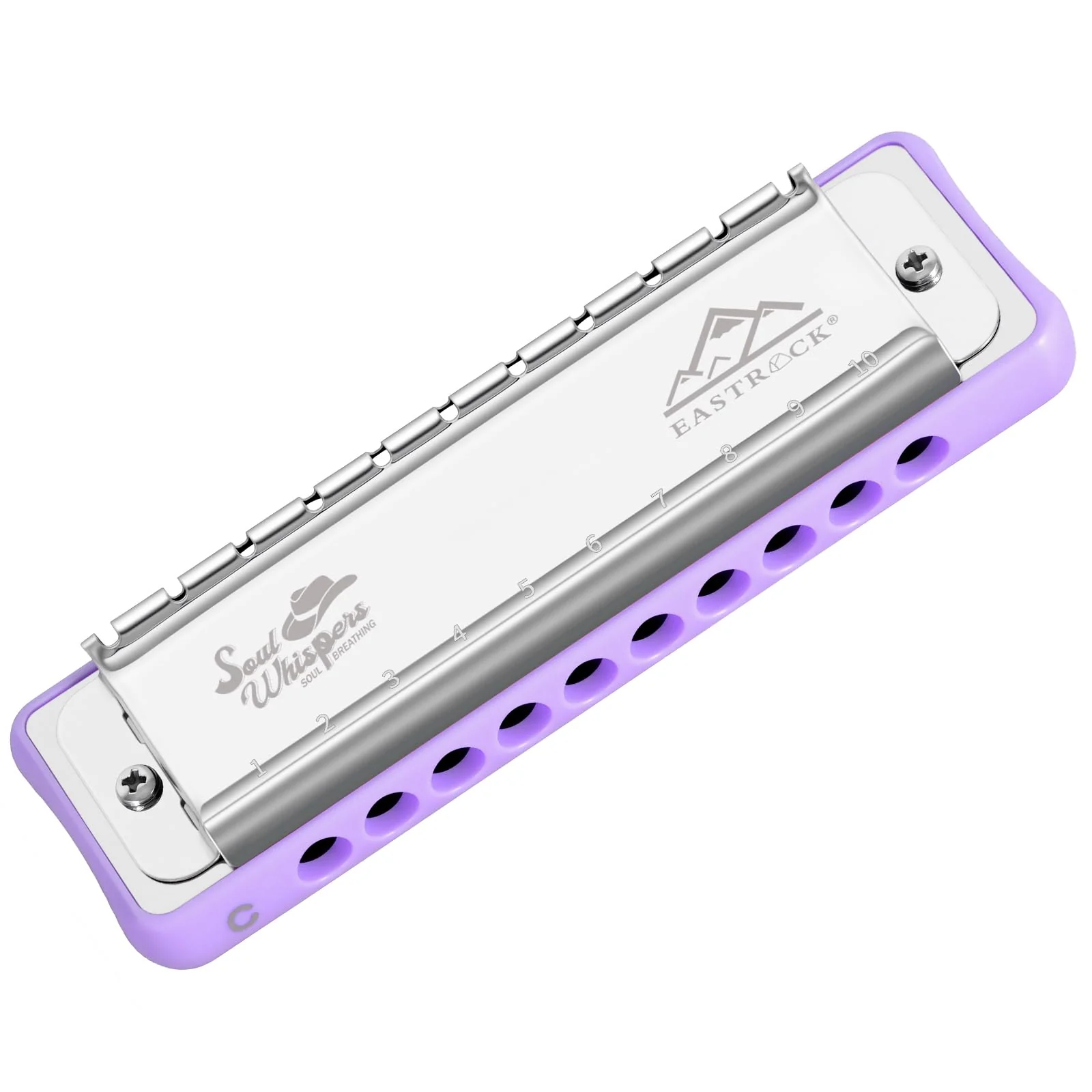 EASTROCK 10 Holes Blues Harmonica Key of C Mouth Organ with Case has Explosive Power For Adults Professionals Beginners CB05 Purple