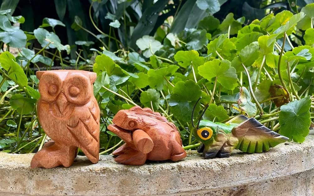 Handmade Wooden Percussion 3 Pcs Set 3 Inch Wooden Frog, 4 Inch Wooden Cricket and 3.5 Inch Wooden Owl, Gift Decor,(Green Wooden Cricket Brown Wooden Frog/Owl) Green Wooden Cricket Brown Wooden Frog/Owl - Image 4