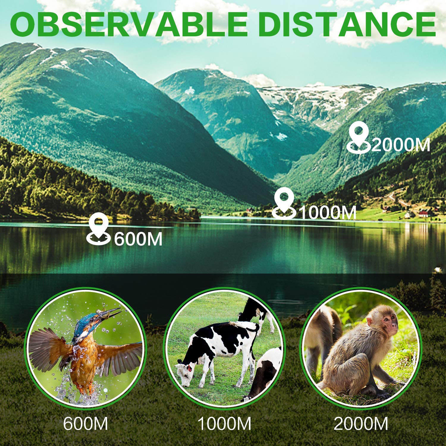 High Powered 16X52 Monocular Telescope for Adults - 2025 Power Prism, Compact HD Scope, Suitable for Gifts, Outdoor Activities, Concert, Travelling & Bird Watching 16xmonocular - Image 6