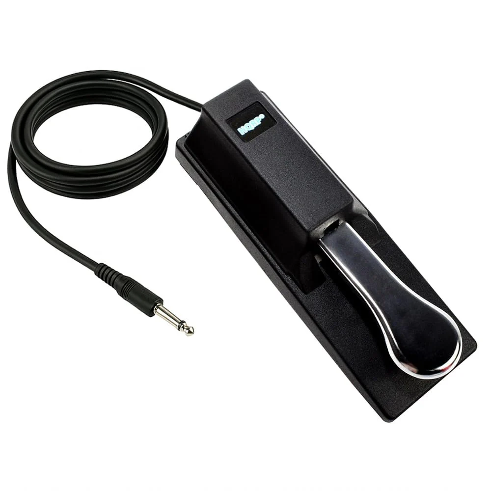 HQRP Sustain Pedal compatible with Casio WK-220 WK-225 LK-50 LK-55 LK-73 LK-230 LK-160 LK-165 LK-240 LK-270 LK-280 XW-P1 XW-G1 WK-200 WK-1300 WK-240 WK-245 WK-7600 Keyboards