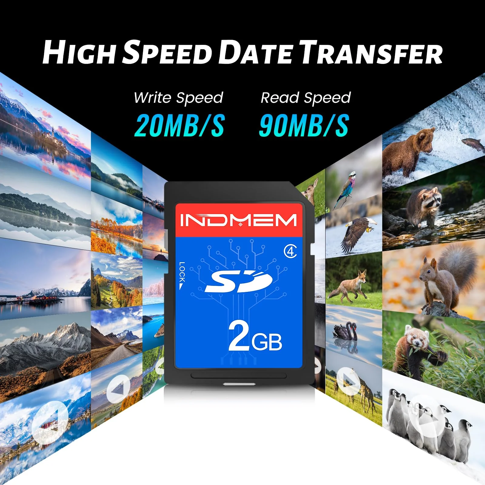 INDMEM 2GB SD Card, 8 Packs Class 4 2GB Flash Memory Card MLC Standard Secure Digital Cards Camera Card 2GB(8pcs) - Image 6