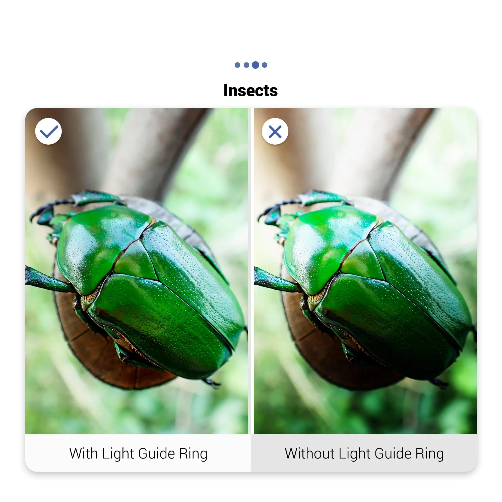 JJC LED Light Guide Ring for Olympus Tough TG-7 TG7 TG-6 TG6 TG-5 TG5 TG-4 TG4 TG-3 TG3 TG-2 TG2 Digital Cameras, Macro Ring Light Flash Replaces Olympus LG-1 for Close Up Macro Photography Replaces LG-1 Light Guide - Image 5