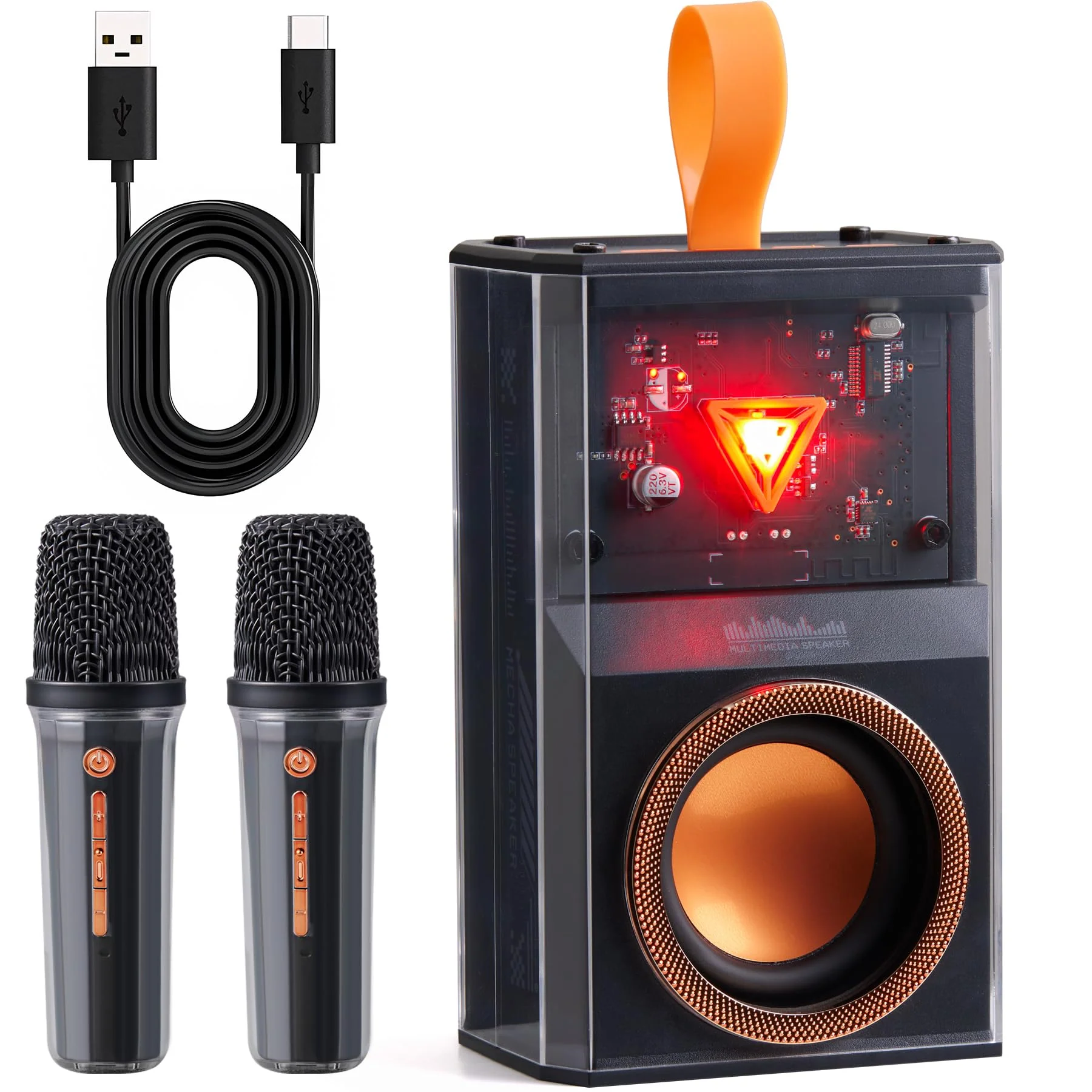 Karaoke Machine for Kids & Adults, Portable Bluetooth Mini Karaoke Speaker with 2 Wireless Microphone and Lights, Birthday Gifts for Girls & Boys, Toys for Girls, Family Home Party (Black) BLACK
