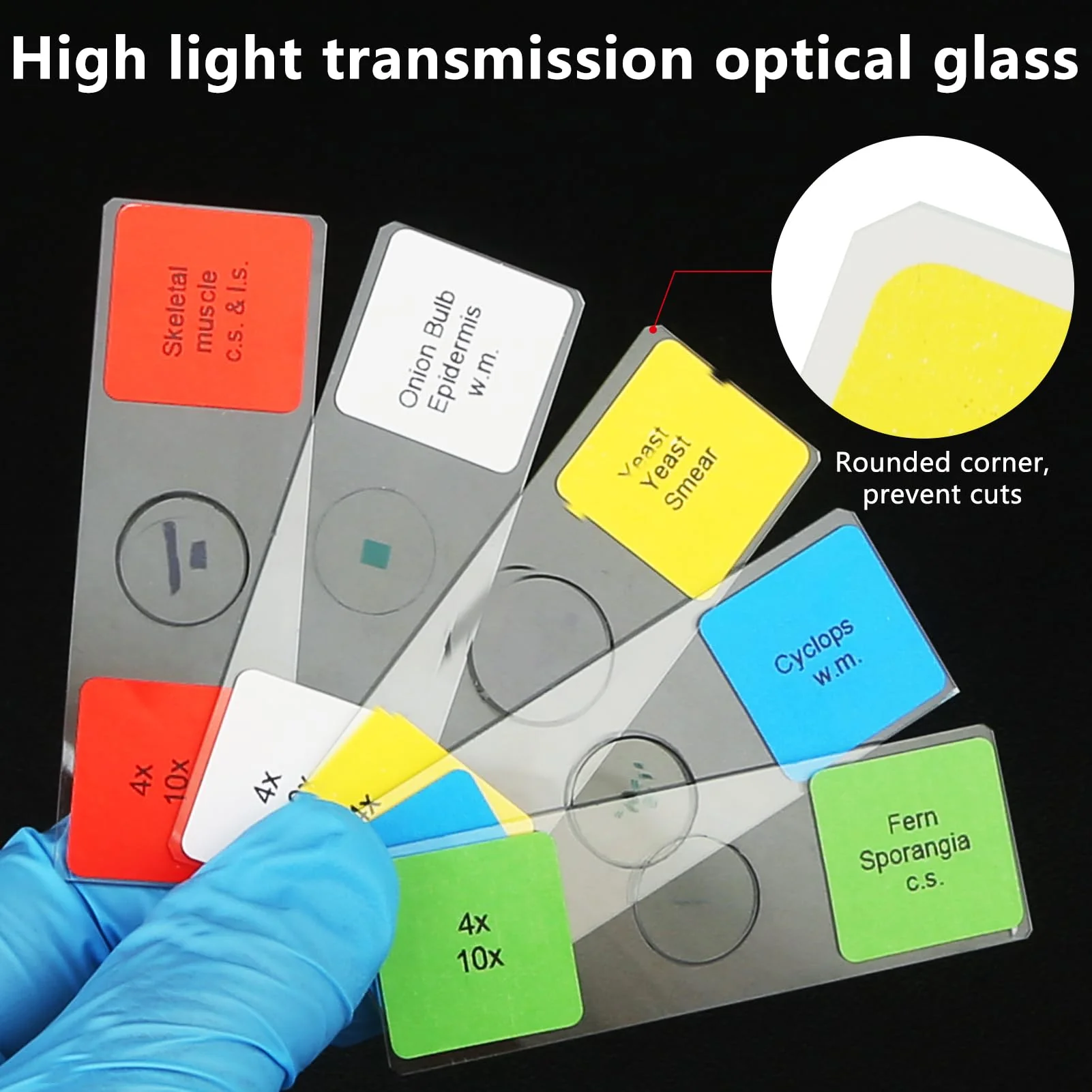 Microscope Slides with Specimens for Kids, 60 Lab-Grade Prepared Microscope Slides, Animal/Plant/Microbe/Tissue Samples, STEM Biology Kit for Homeschool, Classroom Labs & Science Education Ages 8+ - Image 3
