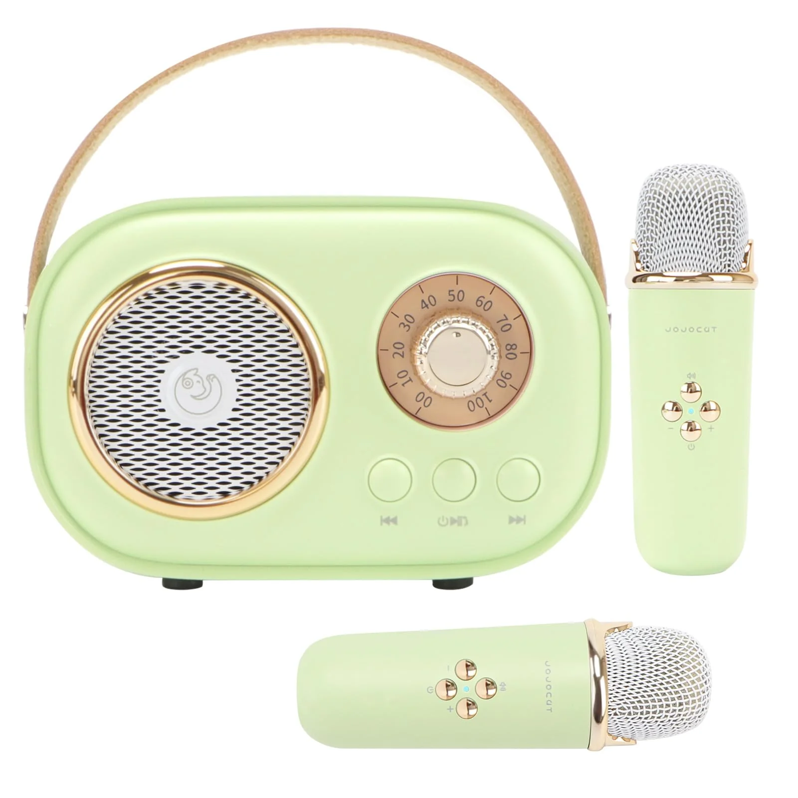 Mini Karaoke Machine for Kids,Portable Bluetooth Speaker with 2 Wireless Microphone,Toys for Girls Boys Gifts,Retro Speaker Set Stereo Sound Enhanced Bass for Home Party Birthday (Green) Green