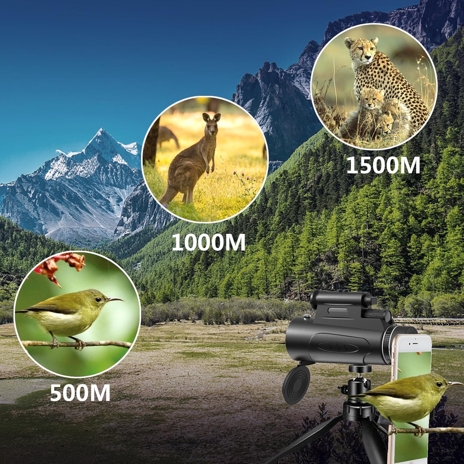 Monocular Telescope with Lights HD Monoculars 80x100 for Adults High Powered Monocular for Hunting with Smartphone Holder & Tripod, Handheld Telescope Suitable for Bird Watching Stargazing-Black Black - Image 4