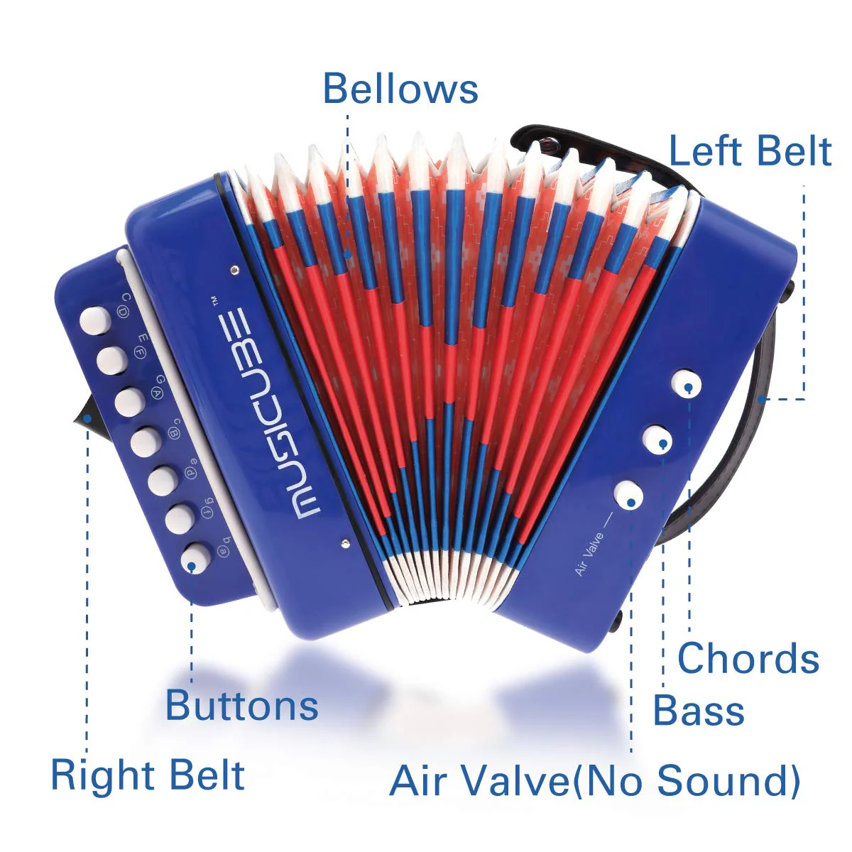 MUSICUBE Kid Accordion 10 Keys Small Accordion Musical Instrument for home and classroom Educational Toys Blue - Image 4