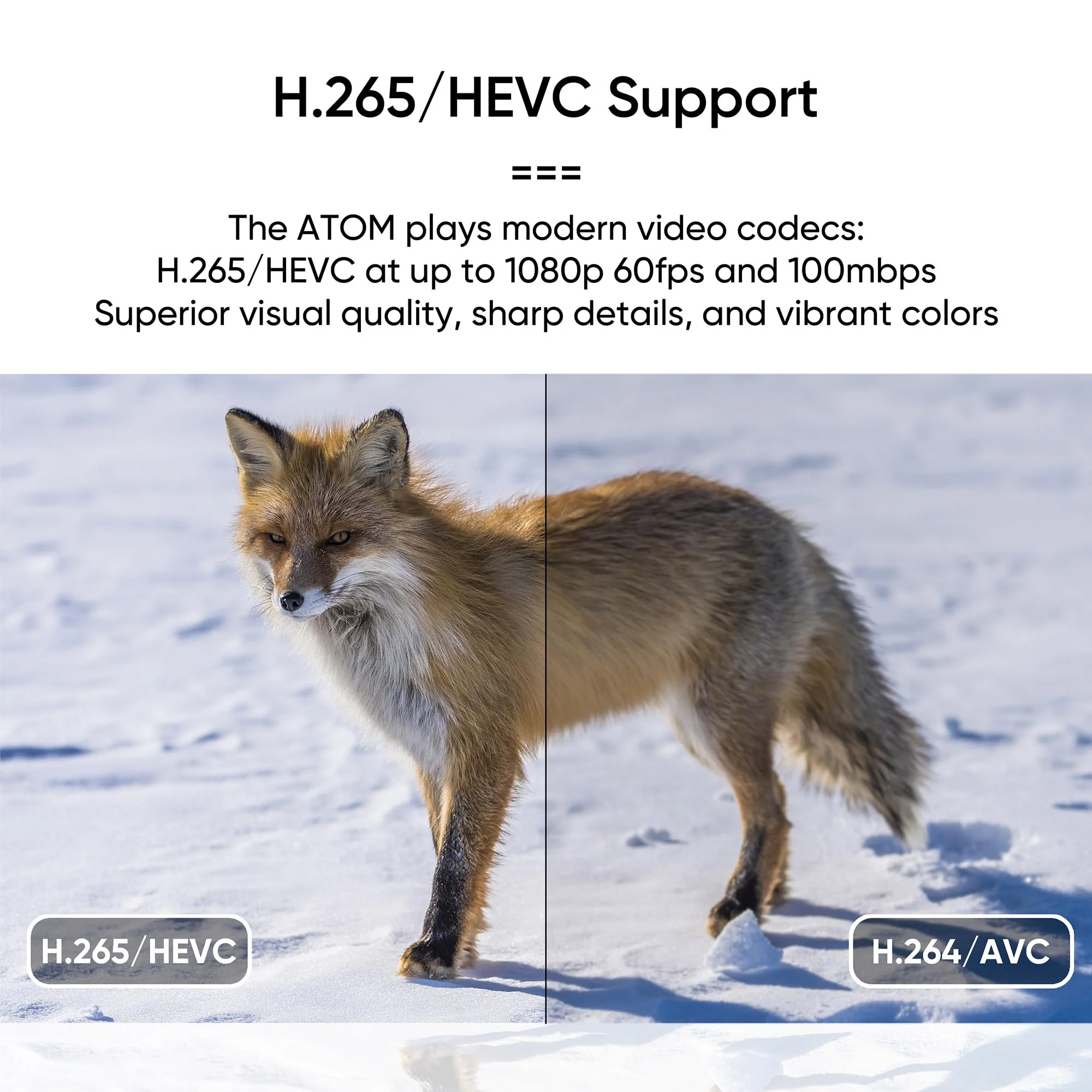 NEUMI Atom 1080P Full-HD Digital Media Player for USB Drives and SD Cards, HEVC/H.265, HDMI and Analog AV, Automatic Playback, Looping, Trigger Capability - Image 3