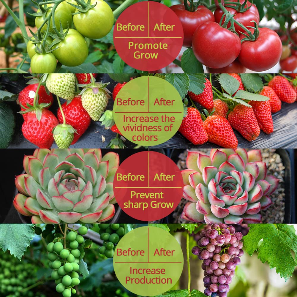 OROMYO Plant Lamp LED Full Spectrum 225 LEDs 1000 W Plant Lamp Cultivation with 4 Hooks Plant Light Hanging LED Grow Light for Greenhouse Plants, Vegetables, Flowers (White + Red) White + Red - Image 8