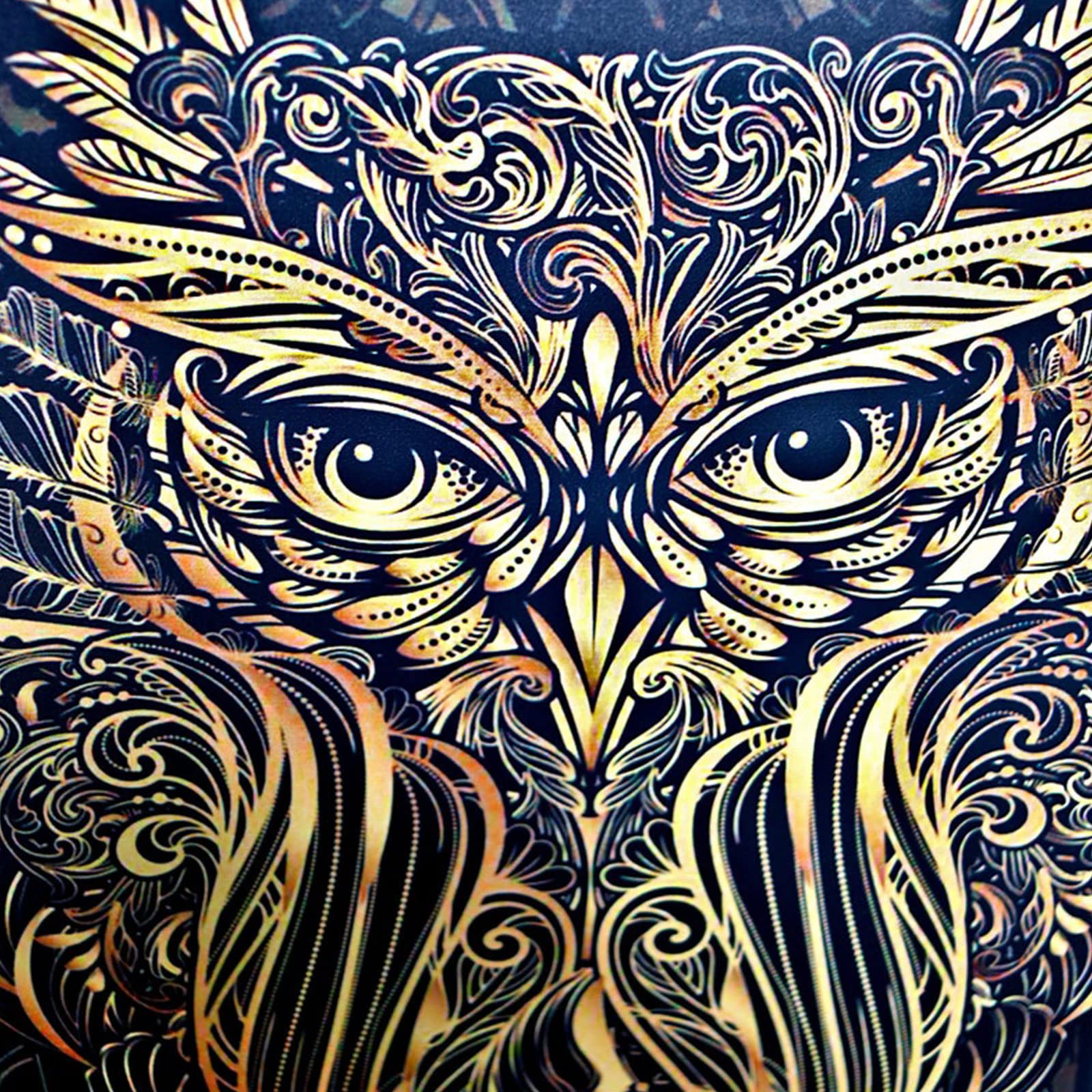 Owl Shaman Drum, 10 Inch Owl Pattern Handmade Shaman Drum With Drum Stick, Instrumental Shaman Alchemy Moon Drum, Sound Healer Shaman Drum For Spiritual Music, Reflection Meditation (#1) - Image 6