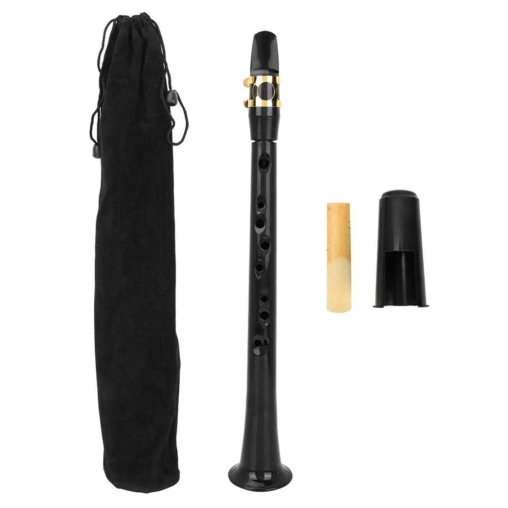 Pocket Saxophone, Portable Simple Mini Saxophone, Practice BB Tune Sax with Reed Bag Woodwind Instrument for Amateurs and Professional Performers