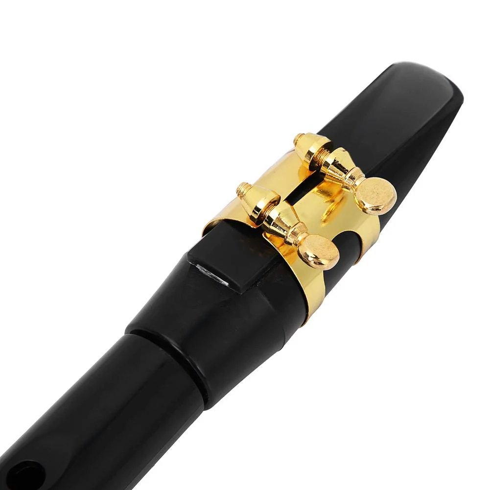 Pocket Saxophone, Portable Simple Mini Saxophone, Practice BB Tune Sax with Reed Bag Woodwind Instrument for Amateurs and Professional Performers - Image 5