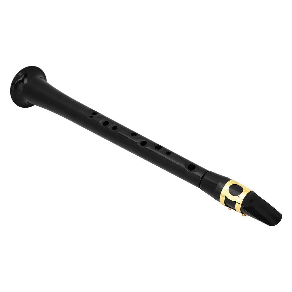 Pocket Saxophone, Portable Simple Mini Saxophone, Practice BB Tune Sax with Reed Bag Woodwind Instrument for Amateurs and Professional Performers - Image 9