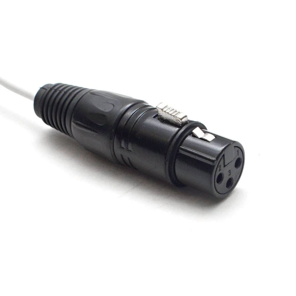 Seismic Audio - SA-DB8XF3 - DB25-8 Channel XLR Female 3 Foot D-Sub Snake Cable Patch Bay Interface Modular Cable - Image 3