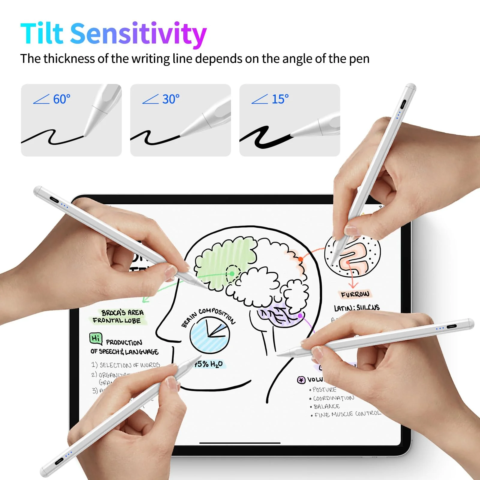 Stylus Pen for iPad, Fast Charging Pencil for Apple iPad with Palm Rejection, Tilt Sensitivity for iPad 6-10, iPad Pro 11"/12.9"/M4, iPad Air 3/4/5/M2, iPad Mini 5/6, Austere White - Image 6