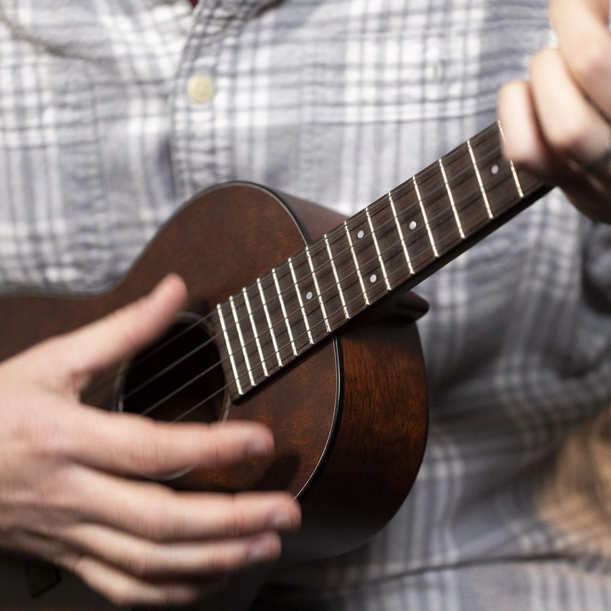 Ukulele Strings (Tenor) Tenor - Image 5