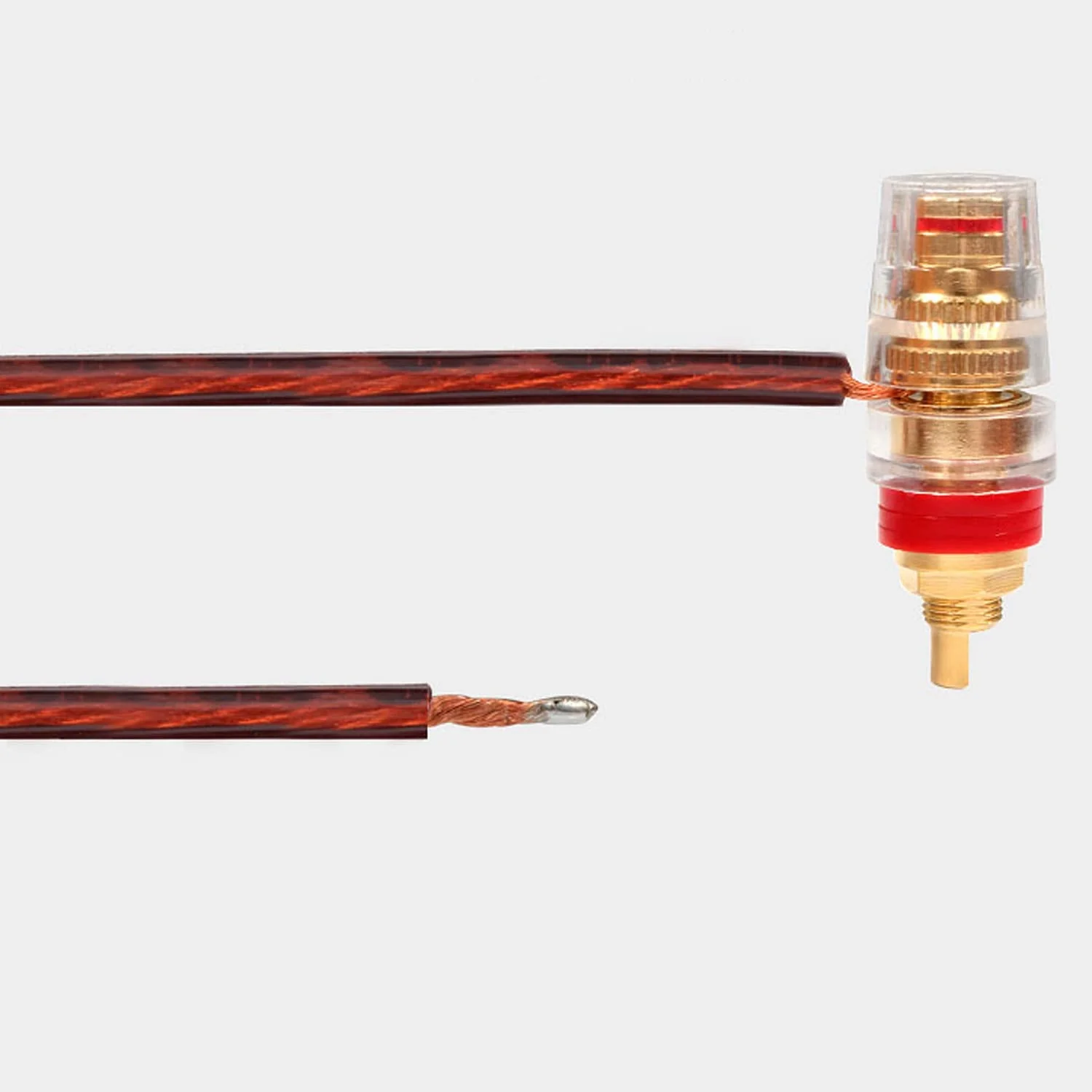 XMSJSIY Speakon Speaker Cable Bare Wire Open End Cable, Speakon to Speaker Wire Audio Cord Amplifier Connection Cord for DJ/PA with Twist Lock (Male) Male - Image 5